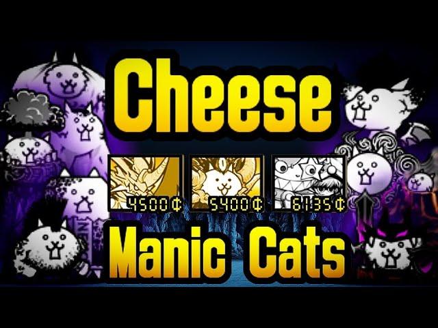 All Manic Cats Cheese