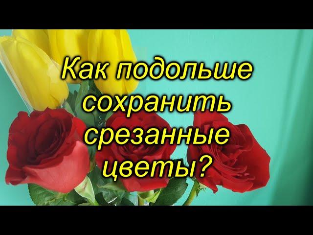 Срезанные цветы будут храниться долго!  (простые правила)