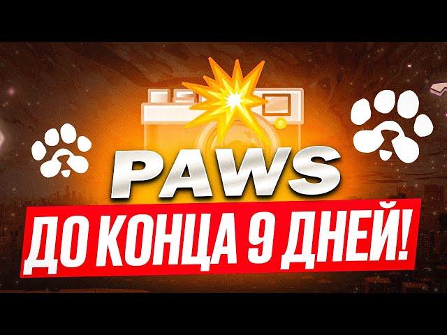 ️ PAWS 🟢 СРОЧНО! 🟢 ОСТАЛОСЬ ВСЕГО 9 ДНЕЙ! ПОСЛЕ ЖДЕМ СНИМОК И УЖЕ ЛИСТИНГ! ГОТОВЯТ ДОНАТ НА SOLANA