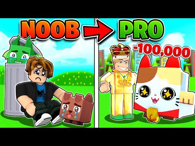 NOOB To PRO INSTANTLY With $100,000 ROBUX! (Roblox Pet Simulator X)