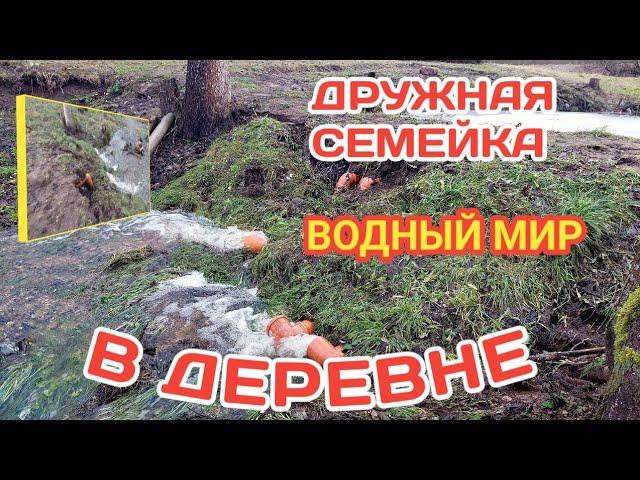 Дружная семейка в деревне.А что с дамбой?Вода подошла к бане.Последствия таяния снега.Водный мир.