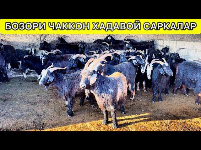 САРИОСИЁ ПАЙШАНБА САРКА БОЗОРИ НАРХЛАРИ УДАРЛАРИ ШУЕРДА