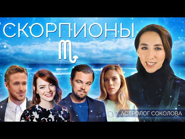 СКОРПИОН | Энергия Скорпионов [АС]