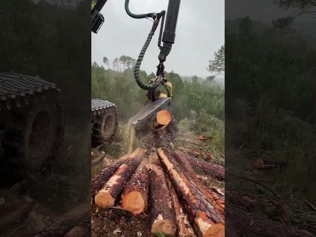 Procesadora 1270h #madera #forest #woodworking #harvest #forester #harvesting #forestry #harvester