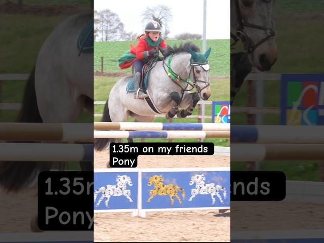 1.35m on my friends pony #horse #equestrian #horselover #horsegirl #showjumping #pony #horselover