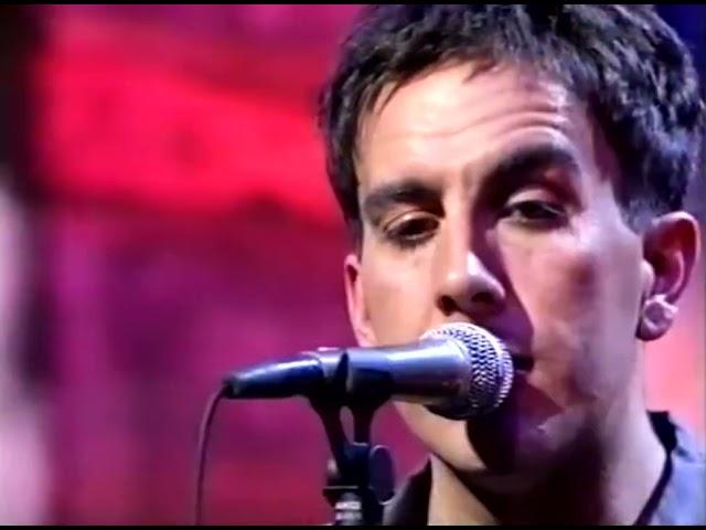 Terry Hall - Sense (Music Video)