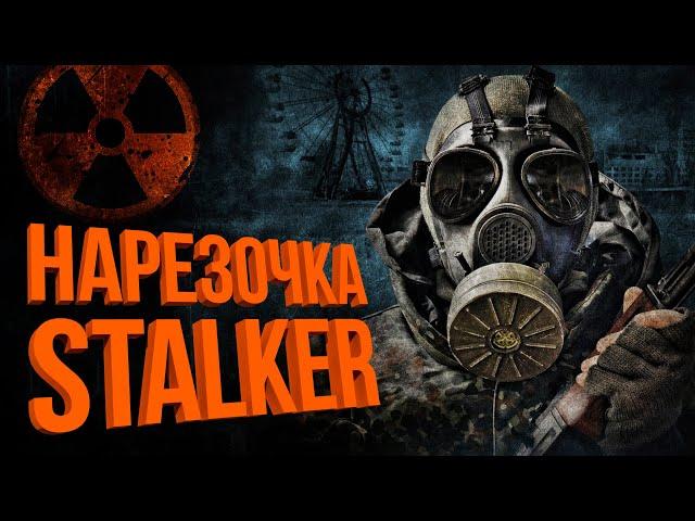 Нарезка 4 и 5 стрима  S.T.A.L.K.E.R ANOMALY 1.5.1 СБОРКА АДДОНОВ EFT Edition 2.1