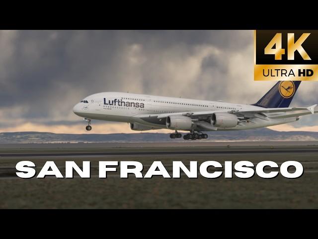 Flight Simulator RTX 4080 Stunning A380 Landing SFO