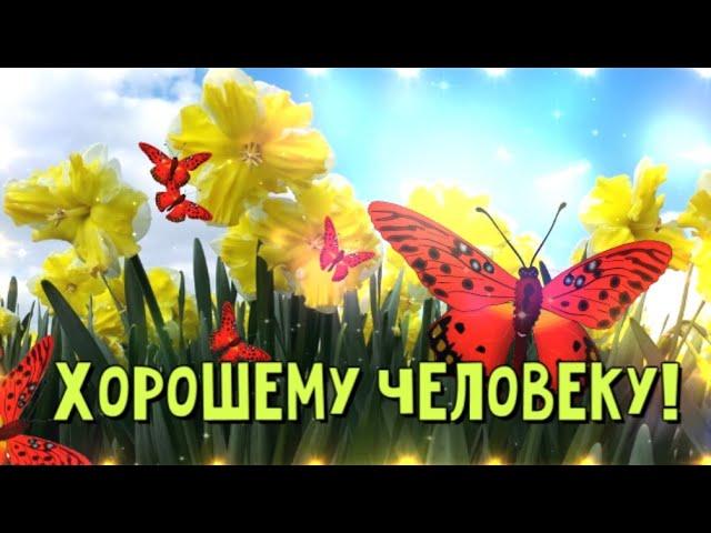 Добрые пожелания и красивые слова! Хорошему человеку от меня! [ Открытка ]