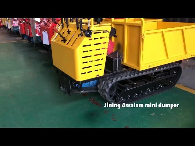 Stand on mini tracked carrier 0.8 ton 1 ton crawler dumper for sale