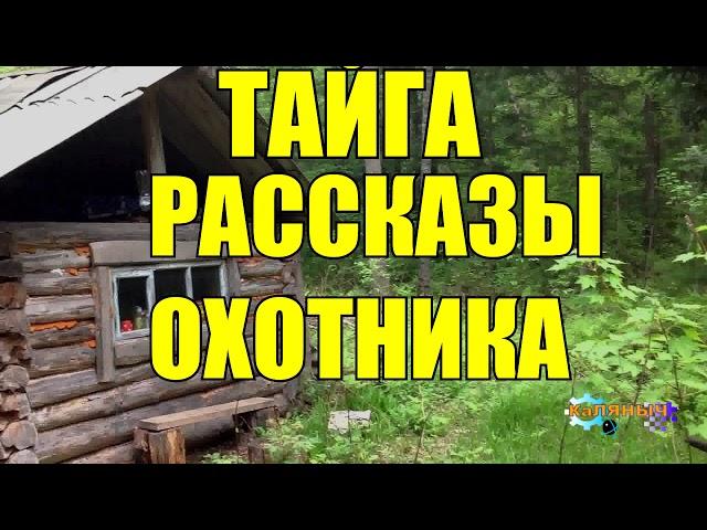 ТАЕЖНЫЕ ПРИКЛЮЧЕНИЯ | Рассказы охотника