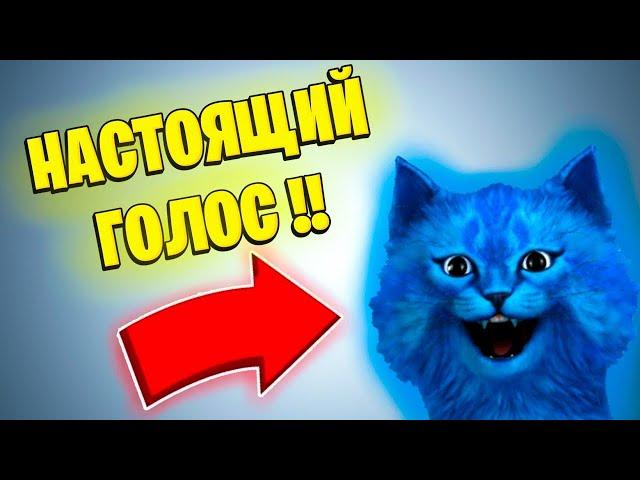 настоящий голос котёнка лайка!