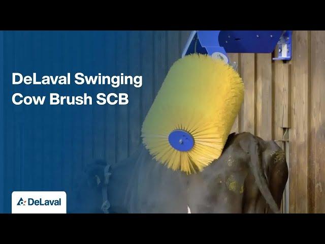 DeLaval Swinging Cow Brush SCB | Ensuring Happy, Healthy Animals | DeLaval