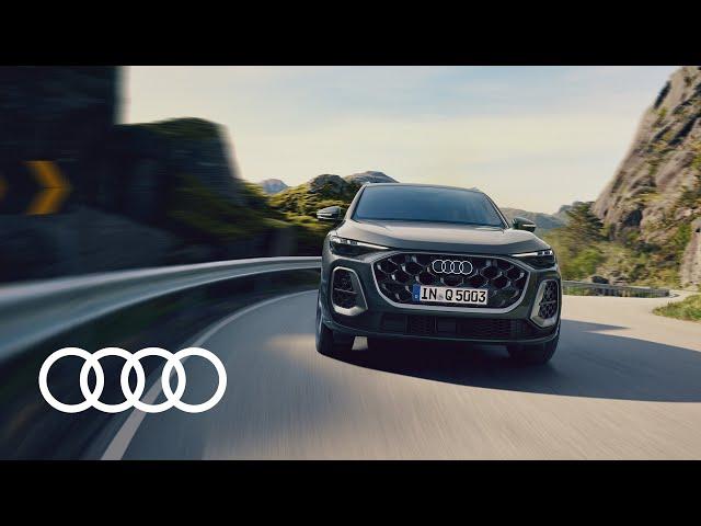 Meet the Audi Q5​