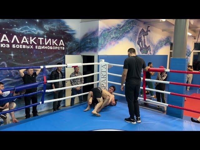 Мутабар Тиллоев (Таджикистан) vs. Бекболсун Алмаматов (Кыргызстан) | 66 кг