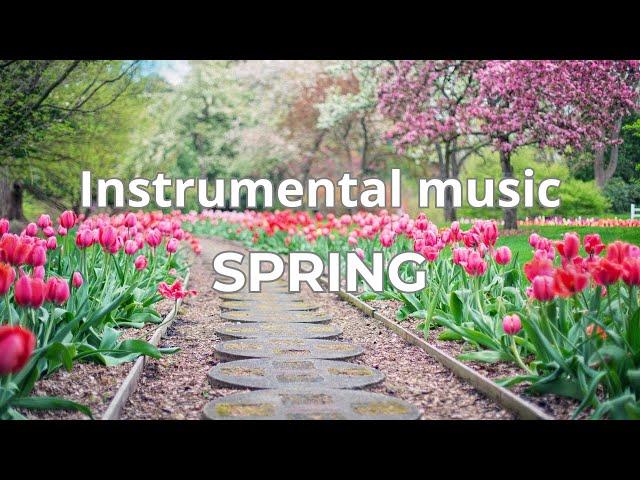 Весна. Времена года. Красивая инструментальная музыка /Spring. Seasons. Beautiful instrumental music