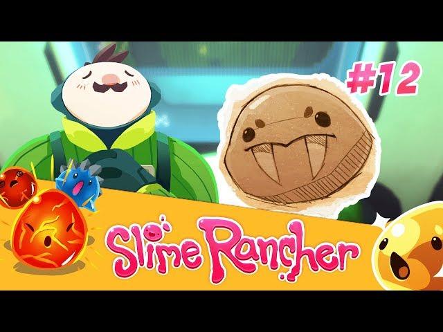 САБЛЕЗУБЫЕ СЛАЙМЫ ► Slime Rancher #12