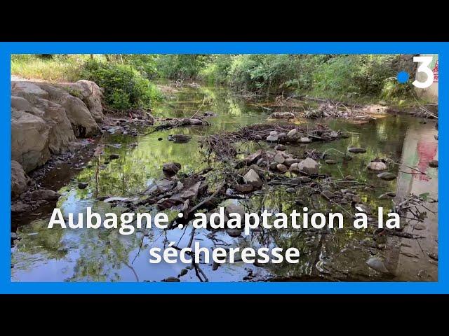 Sécheresse : à Aubagne le niveau de l'Huveaune est historiquement bas alors les habitants s'adaptent