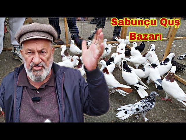 Sabunçu Quş Bazarı 13 Oktyabr 2024