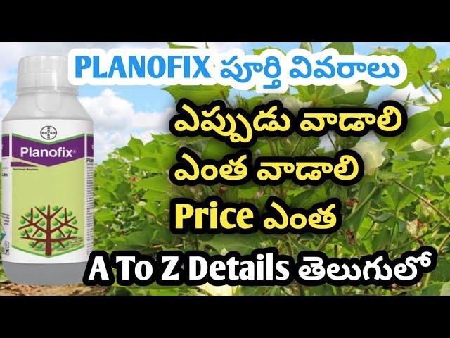 Bayer planofix for plant's|| Planofix pgr full details telgulo || planofix use || #planofix Price