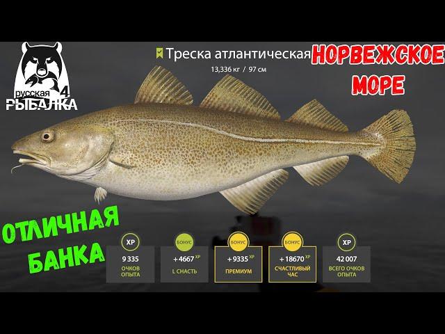 ЛУЧШАЯ ЛОКАЦИЯ ДЛЯ ФАРМА - НОРВЕЖСКОЕ МОРЕ, но ЕСТЬ НЮАНСЫ. РУССКАЯ РЫБАЛКА 4 РР4