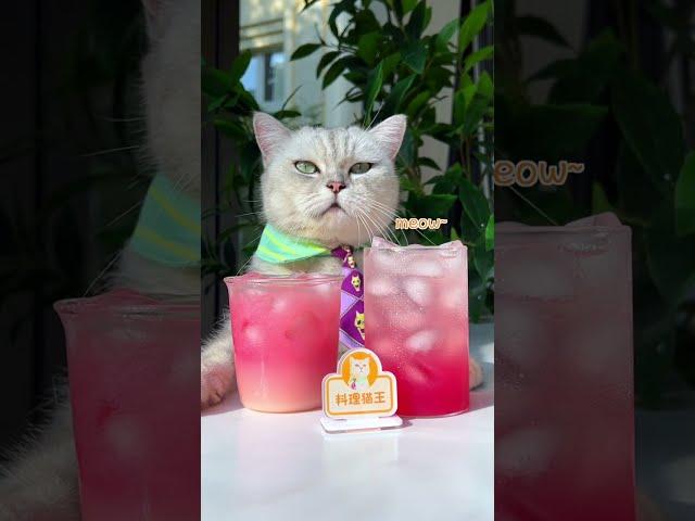 The Best Way To Make Pomegranate Juice! | Chef Cat Cooking #tiktok #Shorts