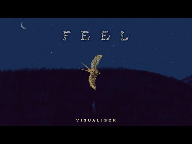 Feel - Jahnavi Harrison - Visualiser