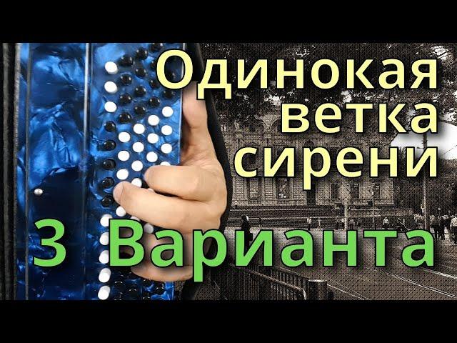 ОДИНОКАЯ ВЕТКА СИРЕНИ - Разбор на Баяне (3 варианта)