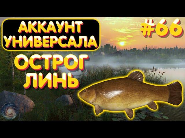 Аккаунт универсала #66 | Линь | оз. Старый Острог | Русская Рыбалка 4