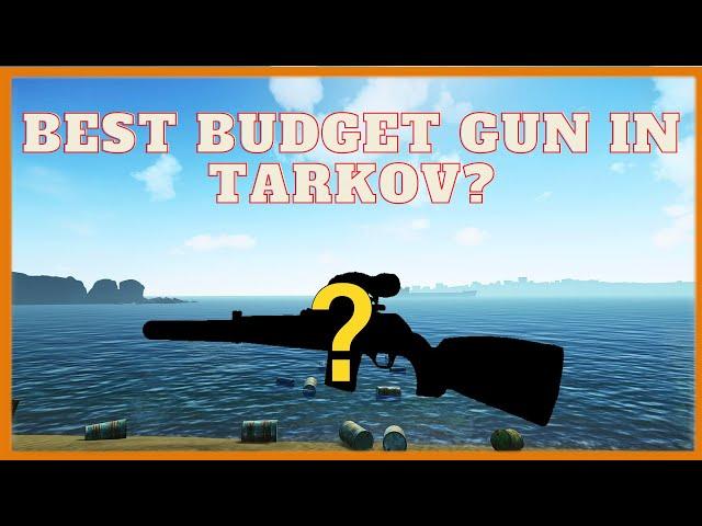 Tarkov Vepr Hunter / VPO 101 budget build (RAT Guns : Episode 3)