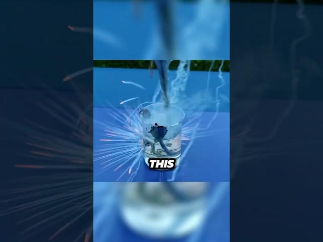 Something Went Wrong