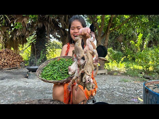 Cook Frog With Green Chilli and Eat