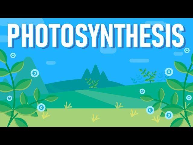 What is Photosynthesis?