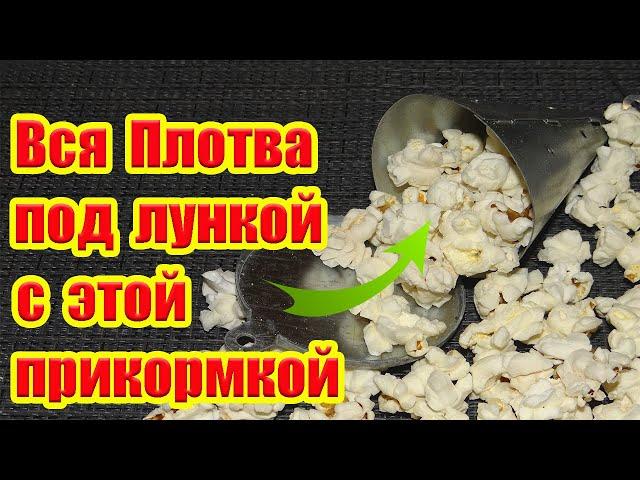 Супер Прикормка для плотвы зимой. Зимняя прикормка для плотвы.