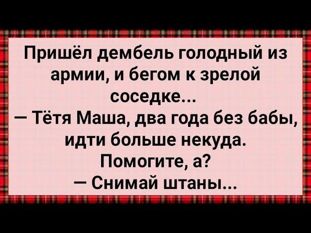 Как Дембель к Тете Маше Ходил! Сборник Свежих Анекдотов! Юмор!