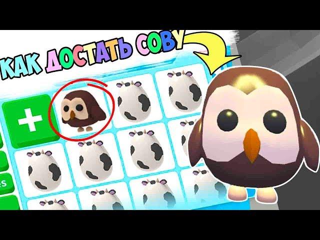 How to get an Owl!!! farm eggs in adopt mi. farm egg adopt me in roblox