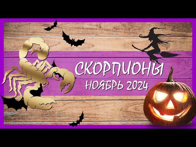 ️ СКОРПИОНЫ Таро гороскоп НОЯБРЬ 2024. ОТЛИЧНЫЙ МЕСЯЦ!  #скорпион #таро #гороскоп #гадание