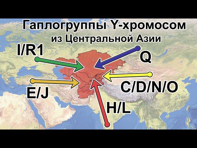 Гаплогруппы Y-ДНК из Центральной Азии. Филогения Y-хромосом в свете новых данных