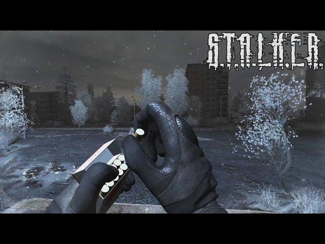 Зима - STALKER Anomaly Reality