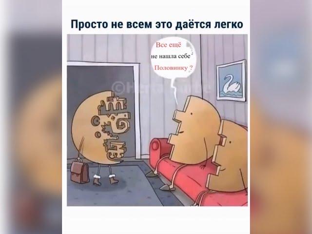 МЕМЫ. Все еще не нашел себе вторую половинку?