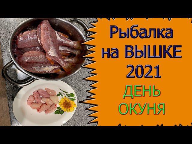 Рыбалка на Вышке.  День ОКУНЯ.