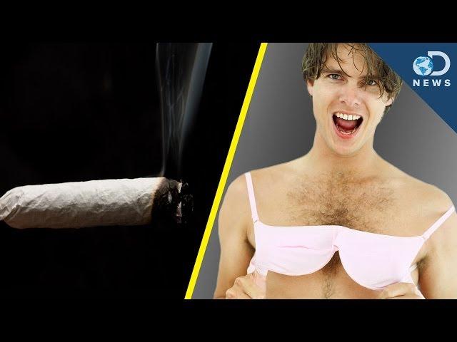 Does Smoking Weed Cause Man Boobs?