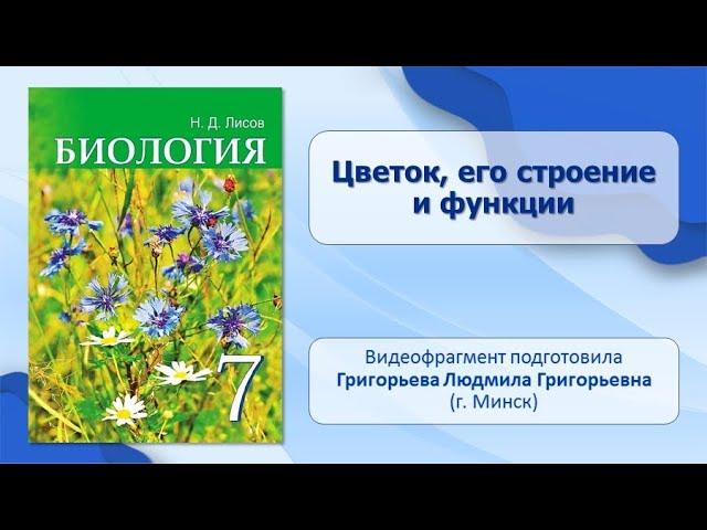 Тема 31. Цветок, его строение и функции. Лабораторная работа № 9 «Строение цветка».