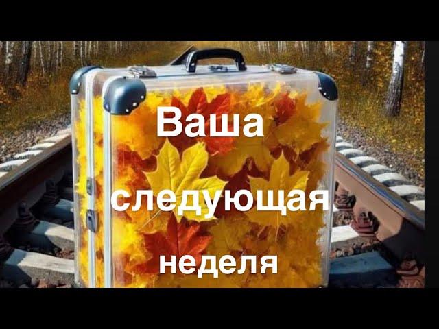 Ваша следующая неделя 4-10 ноября ️️🪄