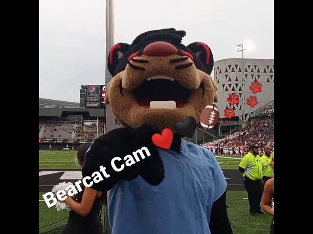 Bearcat Cam ️ #gobearcats #cincybearcat