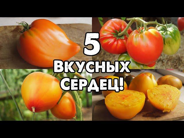 САМЫЕ ВКУСНЫЕ СЕРДЦЕВИДНЫЕ ТОМАТЫ!