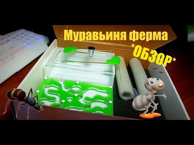 [ОБЗОР]-МУРАВЬИНАЯ ФЕРМА!