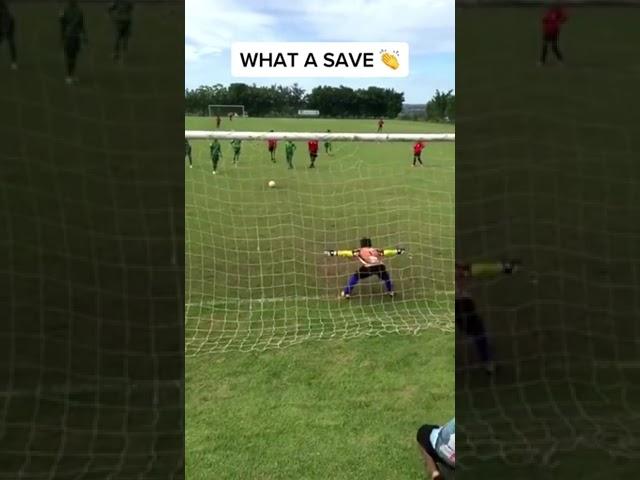 The little man is an elite goal keeper  (via @hello_jr05) #shorts