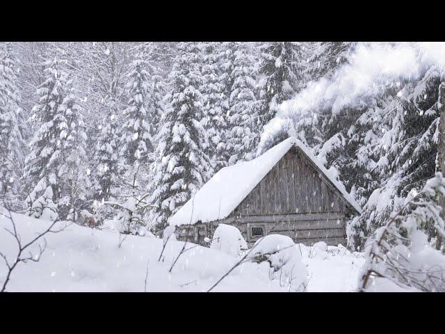 extreme cold winter night in abandoned hunters log cabin