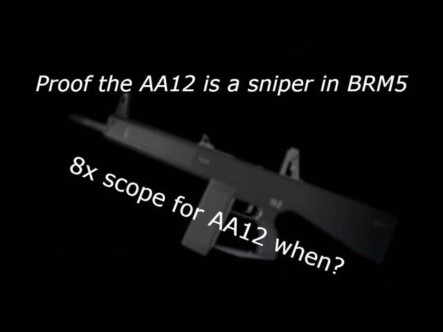 Proof the AA12 is the best sniper in BRM5